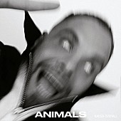 カッサ・オーバーオール「カッサ・オーバーオール、ニュー・アルバム『ANIMALS』5/26リリース＆新曲「Make My Way Back Home」公開」1枚目/5