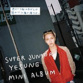 SUPER JUNIOR-YESUNG「」3枚目/5