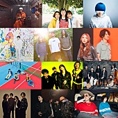 「OAUが贈る【New Acoustic Camp】にSUPER BEAVER／sumika／yamaら出演」1枚目/2