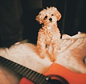 「みゆな、会場限定販売ALから「my life (Sing for you ver.)」配信リリース発表」1枚目/2