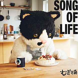 「むぎ(猫)、AL表題曲「song of life」先行配信リリース決定」