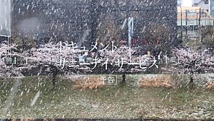 「映画『ドキュメント サニーデイ・サービス』の劇場版予告編が到着」