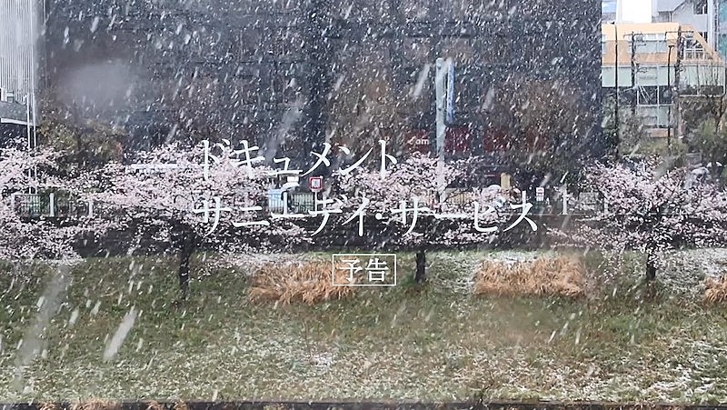 「映画『ドキュメント サニーデイ・サービス』の劇場版予告編が到着」1枚目/38