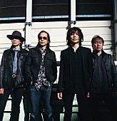 「エレファントカシマシ、デビュー35周年の新曲「yes. I. do」MV公開」1枚目/3