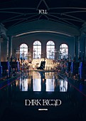 ENHYPEN「ENHYPEN ミニアルバム『DARK BLOOD』ムードボード」4枚目/6