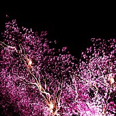 「神はサイコロを振らない 配信シングル「修羅の巷」」2枚目/3