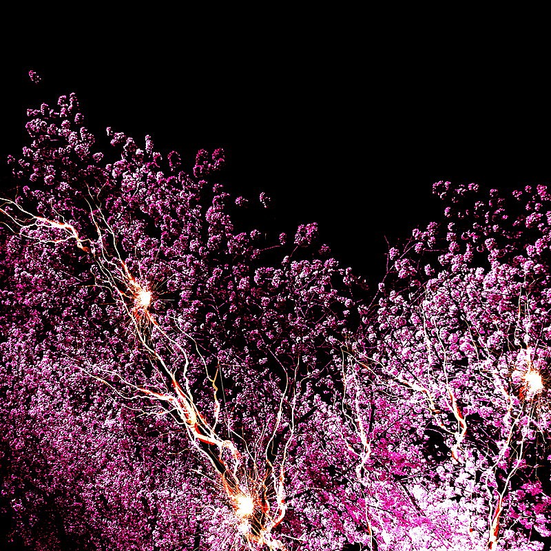 「神はサイコロを振らない 配信シングル「修羅の巷」」2枚目/3