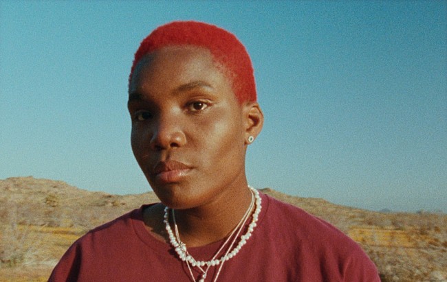 「アーロ・パークス、「Devotion」のノスタルジックなMV公開」1枚目/2