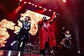 BABYMETAL「BABYMETAL、初のアジア・ワンマンツアーでタイのヒップホップ・シンガーF.HEROと再共演」1枚目/11