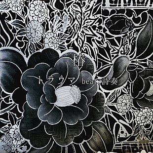 「【Heatseekers Songs】TORAUMA「椿」自身初の首位に」