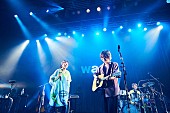 wacci「」2枚目/6