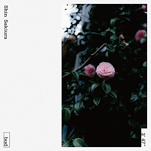 「Shin Sakiura、4thアルバムより自身初歌唱の新曲「bud」リリース」