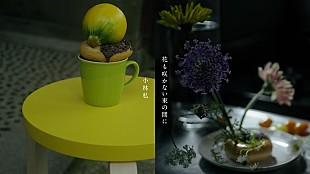 「小林私、新曲「花も咲かない束の間に」MV公開」