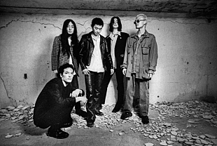 「踊ってばかりの国、自身初のビルボードライブ公演が決定」