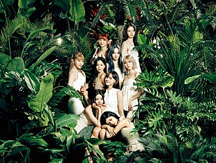 「NiziU、初のラブソングが赤楚衛二主演ドラマ『こっち向いてよ向井くん』主題歌に」