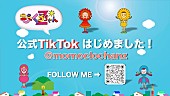 ももくろちゃんＺ「ももくろちゃんZ、公式TikTokアカウント開設」1枚目/4