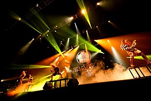 「NEMOPHILA、4周年ワンマンライブのレポート到着」