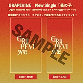 GRAPEVINE「」3枚目/3