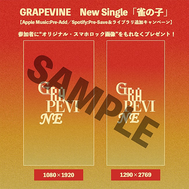 GRAPEVINE「」3枚目/3