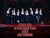 Stray Kids「Stray Kids、日本ドームツアーのライブ・ビューイング実施」1枚目/1