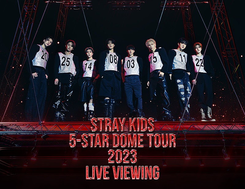 Stray Kids「Stray Kids、日本ドームツアーのライブ・ビューイング実施」1枚目/1