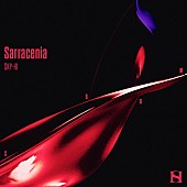 SKY-HI「SKY-HI／BE:FIRSTのスプリットシングル『Sarracenia / Salvia』アニメサイズ配信リリース」1枚目/4