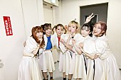 豆柴の大群「」3枚目/6