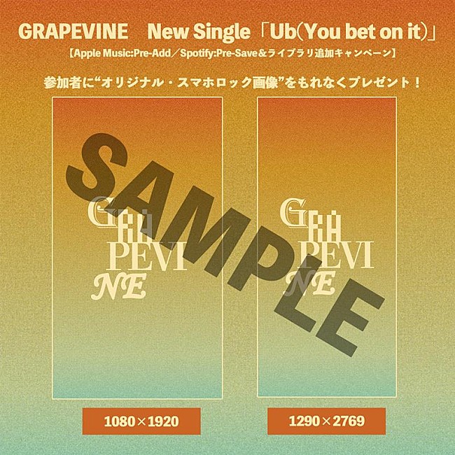 GRAPEVINE「」2枚目/4