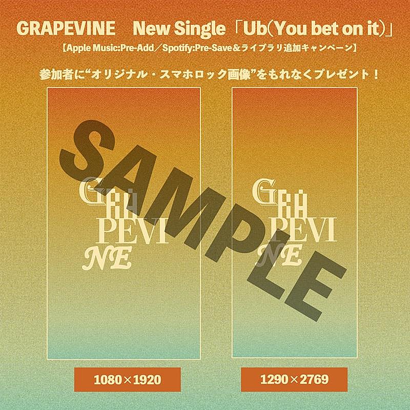 GRAPEVINE「」2枚目/4