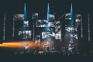 「DEZERT、9/23に開催したスペシャルライブの公式レポート到着」