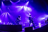 WANDS「＜ライブレポート＞WANDS、第5期の彩を確立したアルバム『Version 5.0』を引っ提げたツアー【～SHOUT OUT！～】開催」1枚目/10