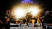 ビッケブランカ「ビッケブランカ、一夜限りの【Slave of Love TOUR 2017】ライブ映像プレミア公開を実施」1枚目/4