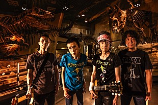 「ザ・クロマニヨンズ、ニューAL『HEY! WONDER』2024年2月発売＆全43公演の全国ツアー開催へ」