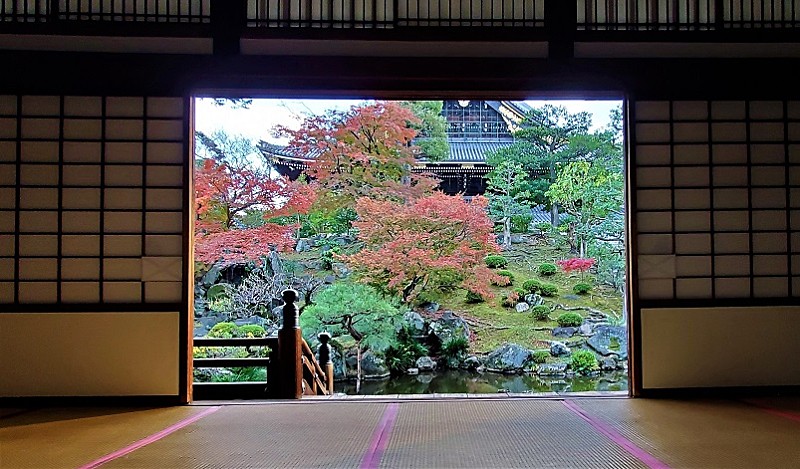 「BS11で「京都を知る。」　11月は紅葉生中継やレギュラ－番組で京都づくしの放送に！」1枚目/1