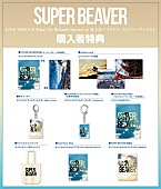 SUPER BEAVER「」4枚目/5