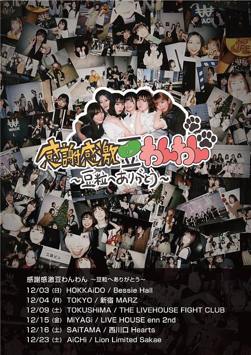 豆柴の大群、自主制作ツアー【感謝感激豆わんわん～豆粒へありがとう～】開催決定