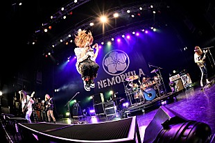 「NEMOPHILA、全国12か所を回るワンマンツアーがスタート」