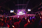 Poppin`Party「＜ライブレポート＞Poppin&amp;#039;Partyが【Welcome to Poppin&amp;#039;Land】で見せた“ラブリーな凄み”「10年目の自分たちの姿が見えてきた」」1枚目/7