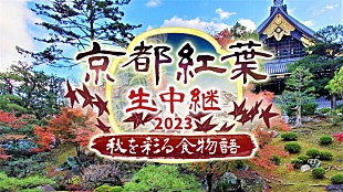 「BS11で「京都紅葉生中継2023 ～秋を彩る食物語～」が29日放送 通常非公開の東本願寺・宮御殿からグルメも生演奏も！」