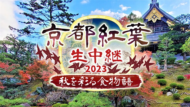 「BS11で「京都紅葉生中継2023 ～秋を彩る食物語～」が29日放送 通常非公開の東本願寺・宮御殿からグルメも生演奏も！」1枚目/1