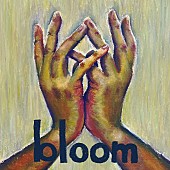 ネクライトーキー「ネクライトーキー 配信シングル「bloom」」2枚目/3