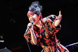 「日向ハル（フィロソフィーのダンス）、ビルボードライブ横浜で開催するバースデーライブに大島真帆（Penthouse）がゲスト出演」