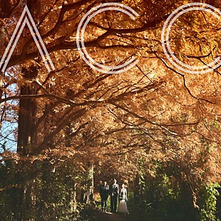 「Awesome City Club、ドラマ『となりのナースエイド』主題歌「ヒカリ」配信決定」