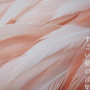 「ズーカラデル、ニューAL収録の新曲「すごい愛の言葉」配信リリース」