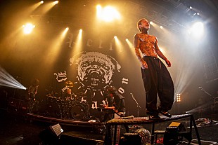 「Petit Brabancon、初の対バン相手にROTTENGRAFFTYを迎えた大阪公演の公式レポート到着」