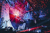 シド「＜ライブレポート＞シド、日本武道館で締めくくった結成20周年イヤー」1枚目/22