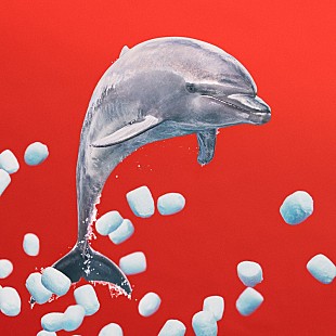 「あいみょん「ワクワクしながら制作を行いました」、資生堂の新CMに新曲「リズム64」書き下ろし」