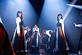 櫻坂46「」37枚目/40