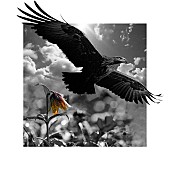 「SUGIZO、能登半島地震復興チャリティーアイテムを自身プロデュースブランド「THE ONENESS」より発表」1枚目/12