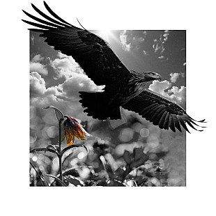 「SUGIZO、能登半島地震復興チャリティーアイテムを自身プロデュースブランド「THE ONENESS」より発表」